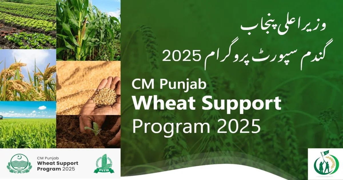CM Punjab Wheat Support Program 2025